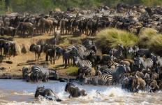 Circuit Kenya en 7 jours - Masai Mara, Nakuru, Naivasha et Amboseli - Safari en groupe