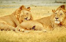Exotic East African Adventure 7 Days/6 Nights Tour
