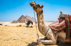 4-Days Cruise Luxor To Aswan including Abu Simbel&Balloon with train from Cairo Tour