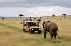 Affordable 7-Day Kenya Budget Luxury Adventure Safari - (With a Free Expert Wildlife Guide) Tour