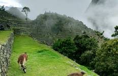 6 Days Inca Trail Adventure to Machu Picchu