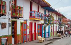 5-Day Quindío Coffee Region Experience with Cocora Valley and Culture - Colombia