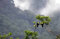 5-Day Colombian Llanos Birdwatching & Wildlife Adventure at Altagracia