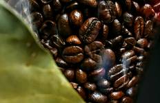 5-Day Bogotá Social Escape: Culture, Salt Cathedral and Coffee Experience - Colombia