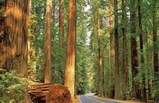 Circuit Les beautés naturelles de la côte ouest