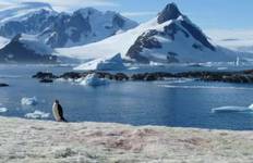 Antarctica - Elephant Island - Weddell Sea - South Polar Circle Tour