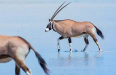 Circuit Voyage Signature en Namibie - Dunes, faune et merveilles (11 jours)