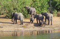 Zambezi Queen Rundreise