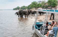 Zambezi Queen Tour
