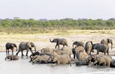 Zambezi Queen Tour
