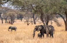 6-Day Unforgettable Experience Tanzania Expedition Tour