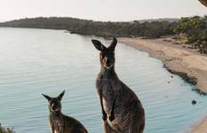 South Australian Eyre Peninsula Escape (Base, 2026/2027, Best Buys, 7 Days) Tour