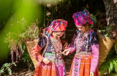 Circuit Circuit de 3 jours et 2 nuits pour une aventure à Hanoï - Sapa : village de Cat Cat, sommet du Fansipan & Moana Check-in Point