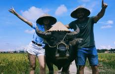 Circuit L'odyssée panoramique du Vietnam : 9 jours d'expérience