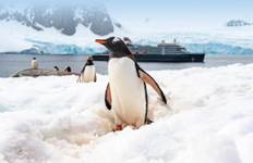 Antarctic Voyage with Chile and Brazil Highlights Santiago → Rio de Janeiro (2026) Tour