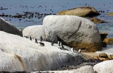 Circuit Solo-ish Afrique du Sud