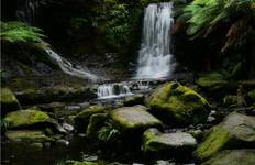 Rondreis Het beste van Tasmanië - 10 dagen