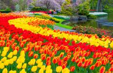 Springtime in the Netherlands and Belgium Amsterdam → Amsterdam (2026) Tour