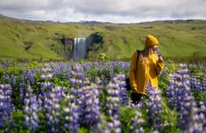 Rondreis 5-daagse reis in kleine groep door IJsland