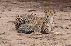 2-Day Tarangire and Ngorongoro Camping Marvel Tour