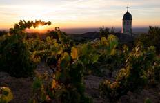 Circuit Croisière dégustation exceptionnelle en Bourgogne : Beaujolais Nouveau - MISTRAL