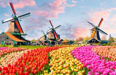 Circuit Moulins à vent, tulipes et délices belges