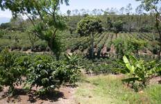 Tropical Costa Rica  (San Jose to Guanacaste) (2026) Tour