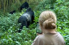 Circuit 3 jours d'observation des gorilles dans le parc national des gorilles de Mgahinga au Rwanda