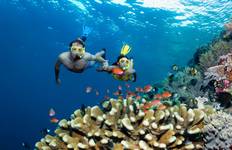 Circuito Aventura de Brisbane a Cairns (13 destinations)