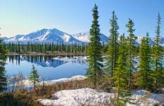 Alaska Discovery Land & Cruise featuring a 7-night Holland America Cruise (Fairbanks, AK to Vancouver, BC) Tour