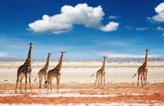 Rondreis Namibië Zandduinen & Safari - 8 dagen