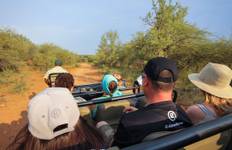 Southern Africa Safari: Kruger, Victoria Falls, Hwange & Chobe
