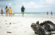 Circuit Galápagos en solitaire