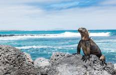 Best of South America with Amazon & Galápagos Cruises Santiago → Guayaquil (2026) Tour
