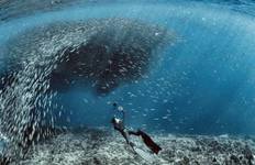 Circuit 13 jours d'excursion sur les meilleures îles des Philippines (guide et chauffeur privés）customizable)