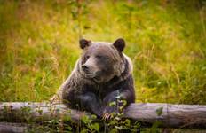 Eastern Canada, Rockies Explorer and Alaska Cruise Toronto → Vancouver (2027) Tour