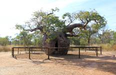 Wonders of the Kimberley and Coast Adventure Broome → Darwin (2026) Tour