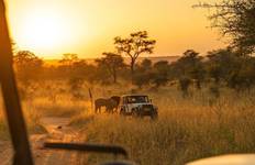 3-tägige Wildtier-Safari in Elephant Plains Reise