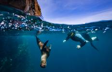 Ecuador and Galápagos Islands Cruise Guayaquil → Guayaquil (2026) Tour