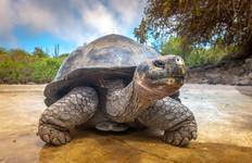 Antarctic Voyage with South America and Galápagos Islands Guayaquil to Rio de Janeiro 2027 (2027) Tour