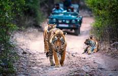India : Taj Mahal, Tiger Safari & Bird Sanctury W/Meals Tour