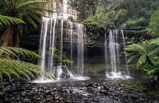 Rondreis Groot Tasmanië Ontdekkingsreis - 7 dagen