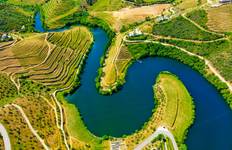 From Madrid to Duero, MS Douro Cruiser: Vega de Terrón - Vega de Terrón (6 days) Tour