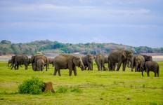 Circuit Sri Lanka Intro By G Experiences