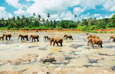 Ultimatives Sri Lanka von G Experiences Reise