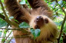 Circuit Costa Rica et Panamá - 11 jours