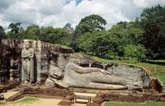 Sri Lankan Highlights Tour