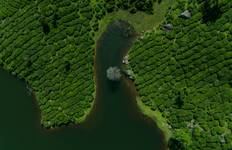 Circuit Cochin : 5 jours d'excursion au Kerala avec bateau à moteur et animaux sauvages