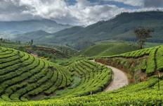 Circuit Bestseller du Kerala : Circuit privé de 5 jours avec Munnar, Thekkady et Alleppey (séjour en bateau)