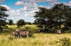 Circuito África Icónica 2026